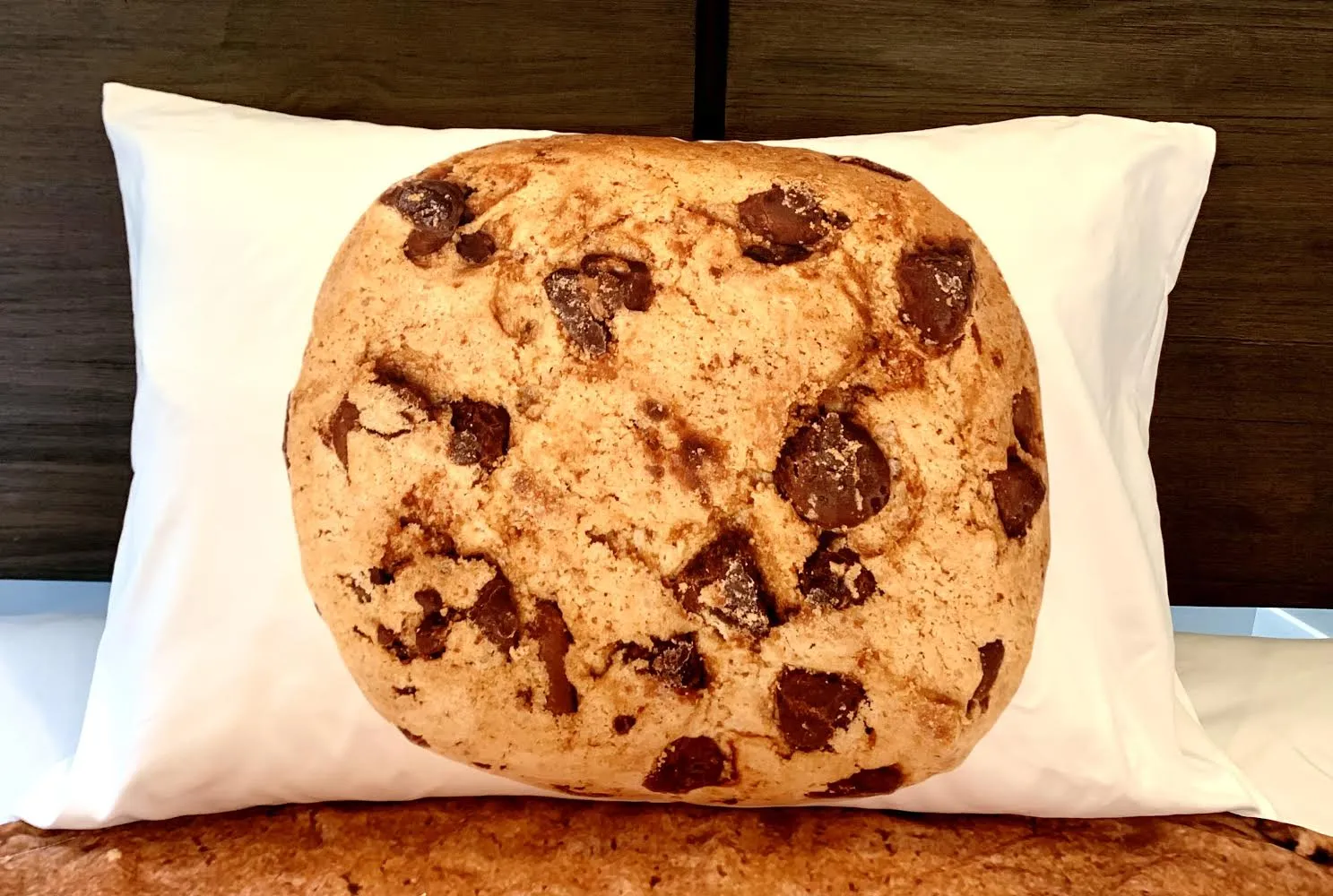 Chocolate Chip Cookie 5 PC Kids Full Bed Set With Round Comforter
