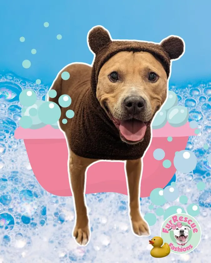 PAW-Robe Teddy Bear