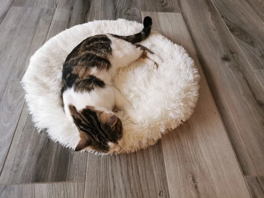 Round Cloud Deep Sleep Rug Bed